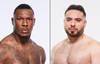 UFC on ABC 8 - Wettquoten, Vorhersage: Abdelwahab gegen Usman