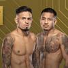 UFC 317: Royval vs Van - Datum, Startzeit, Kampfkarte, Ort